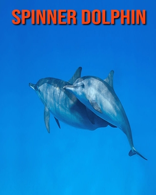 Spinner Dolphin: Amazing Facts about Spinner Dolphin