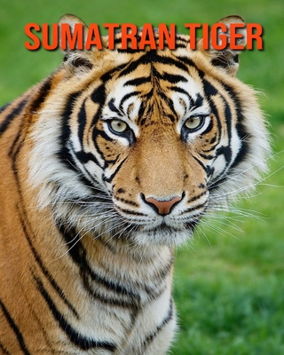 Sumatran Tiger: Amazing Facts about Sumatran Tiger