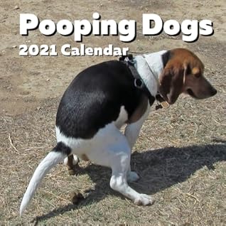 secret santa gift for dog lover