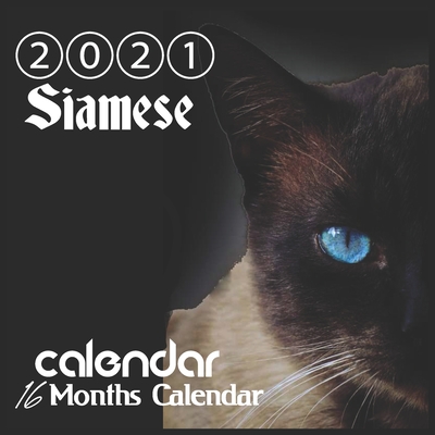 stocking stuffers for cat lovers