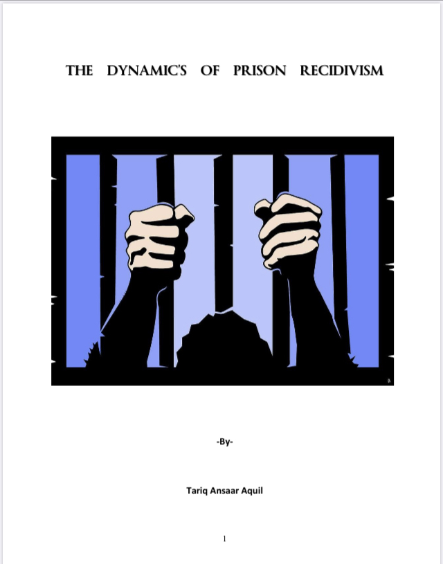 The Dynamics of Prison Recidivism