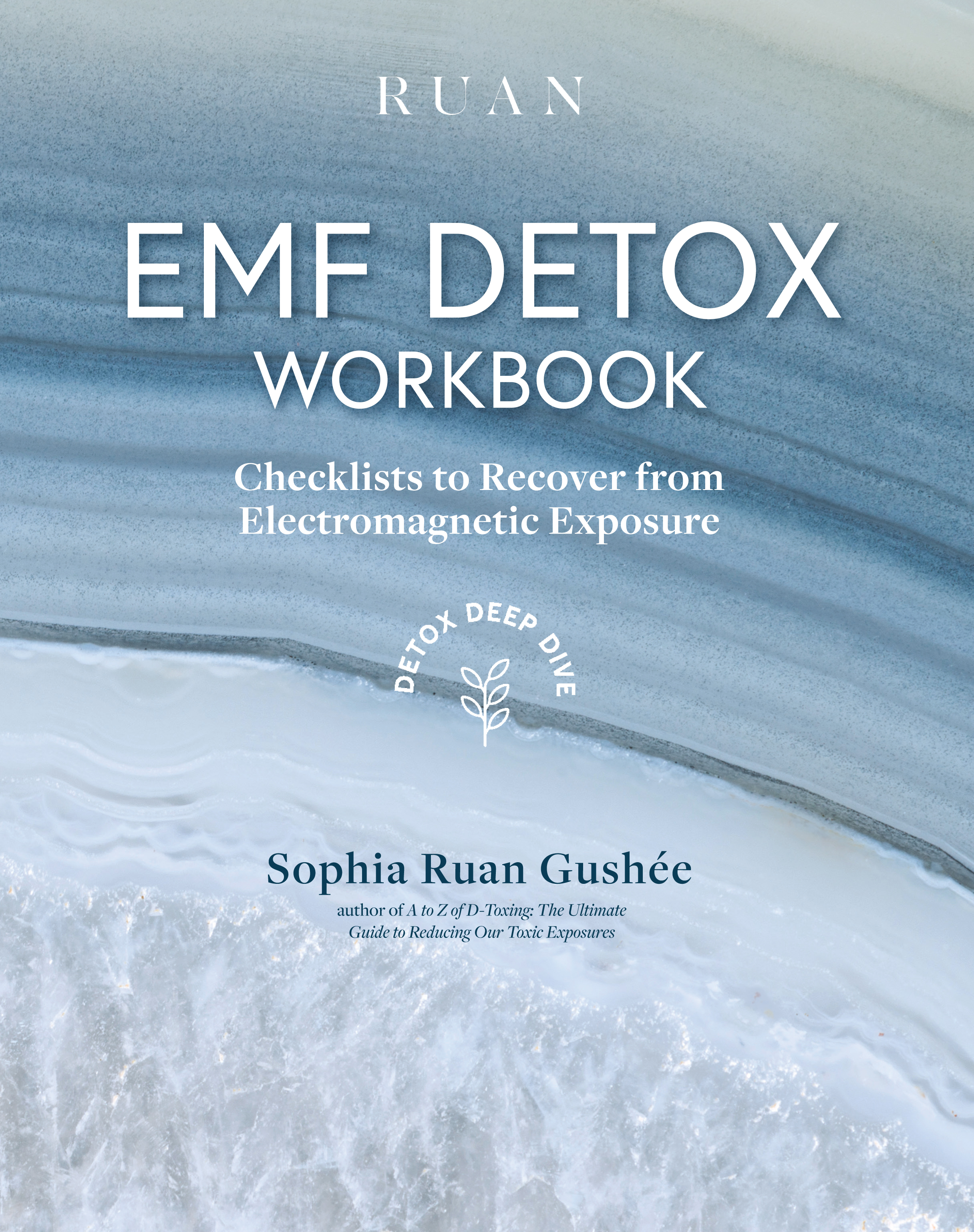 EMF Detox Workbook: Checklists to Recover from Electromagnetic Exposure (Detox Deep Dive, #2)
