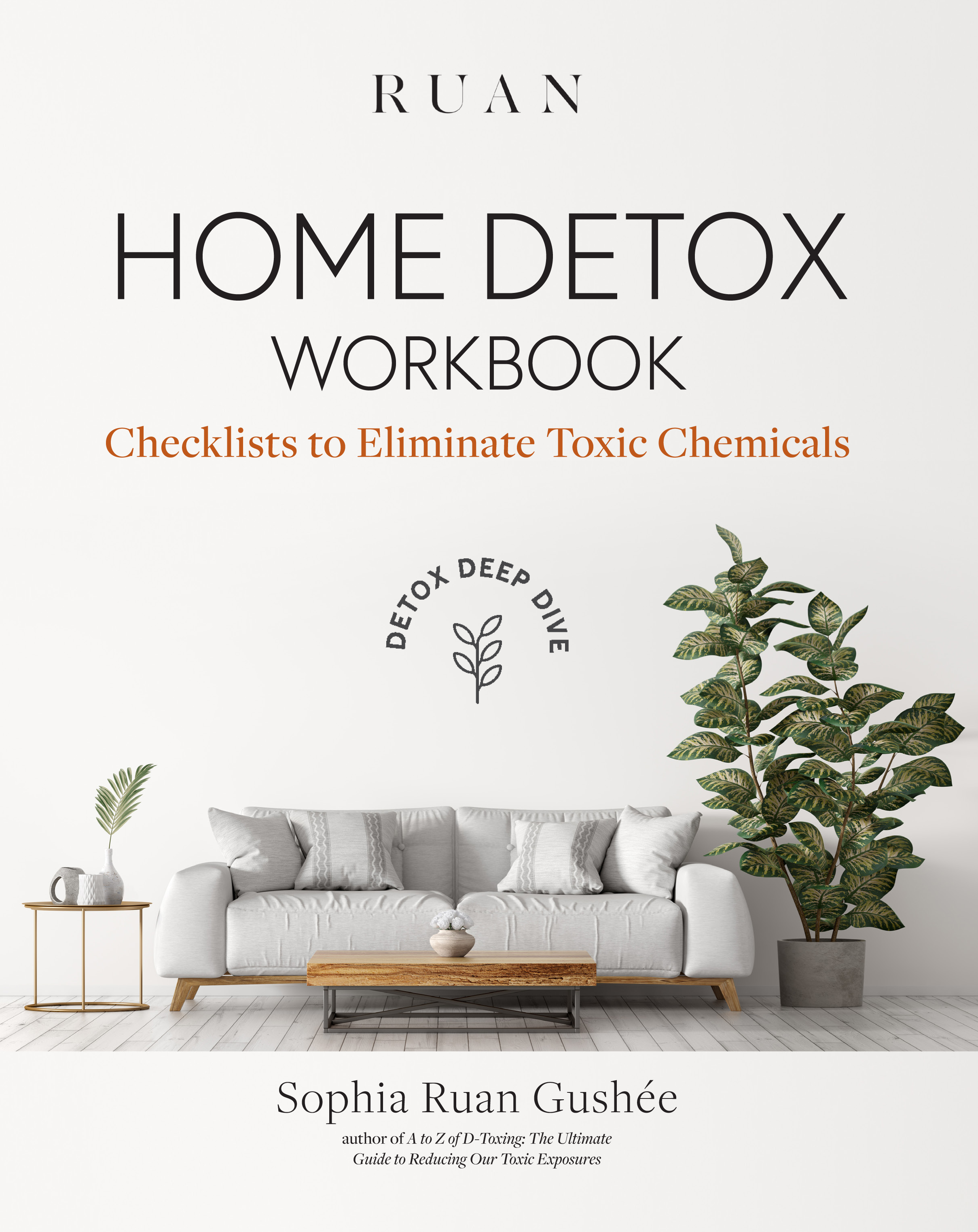 Home Detox Workbook: Checklists To Eliminate Toxic Chemicals (Detox Deep Dive, #1)