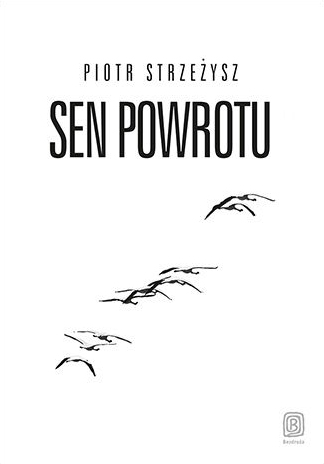 Sen powrotu (Paperback)