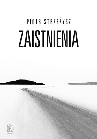 Zaistnienia (Paperback)