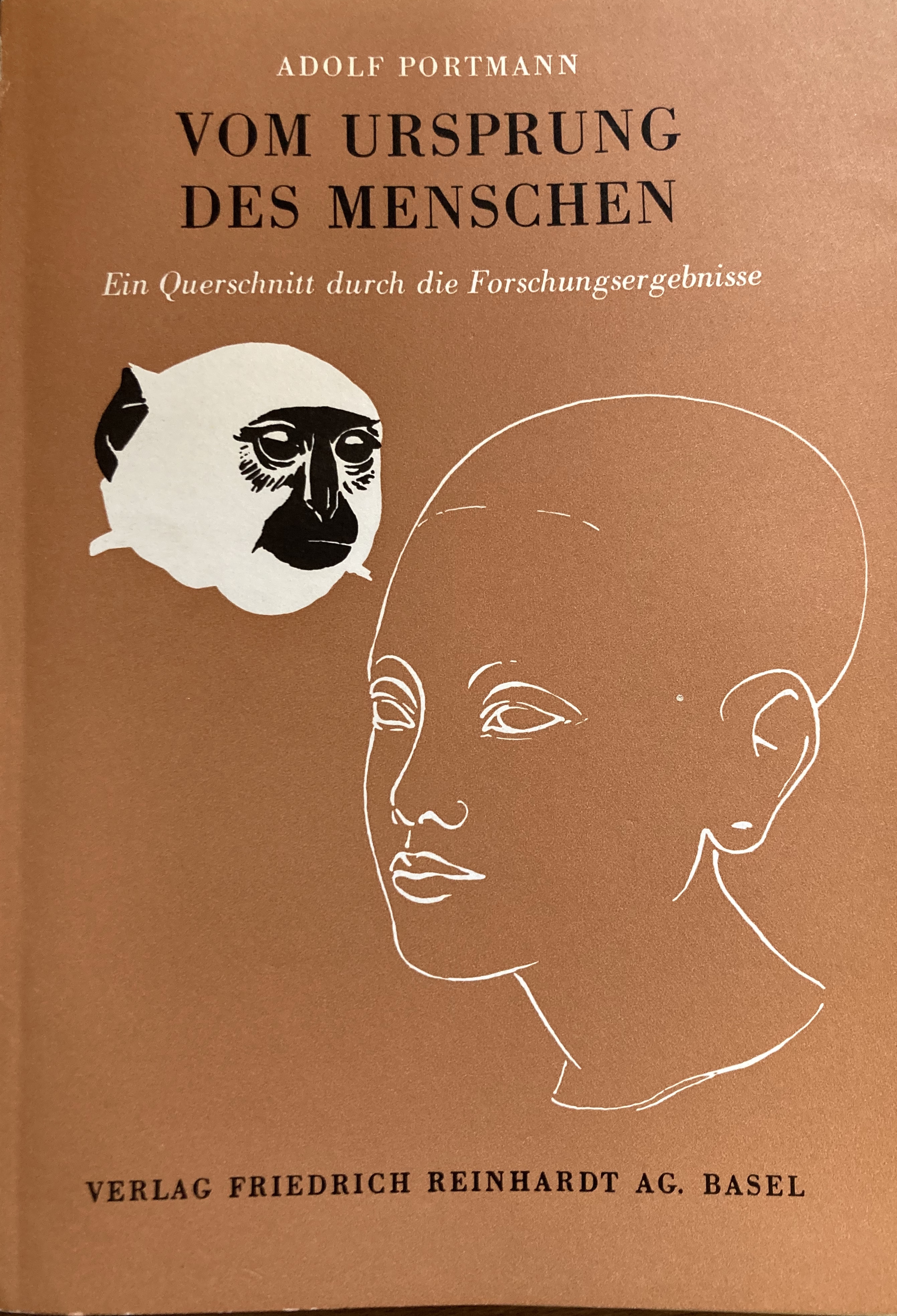 Vom Ursprung des Menschen: Ein Querschnitt durch die Forschungsergebnisse