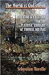 The World As God's Icon: Creator and Creation in the Platonic Thought of Thomas Aquinas