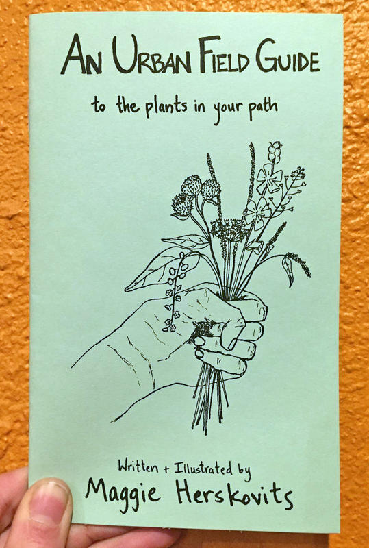 An Urban Field Guide to the Plants in Your Path (Paperback)