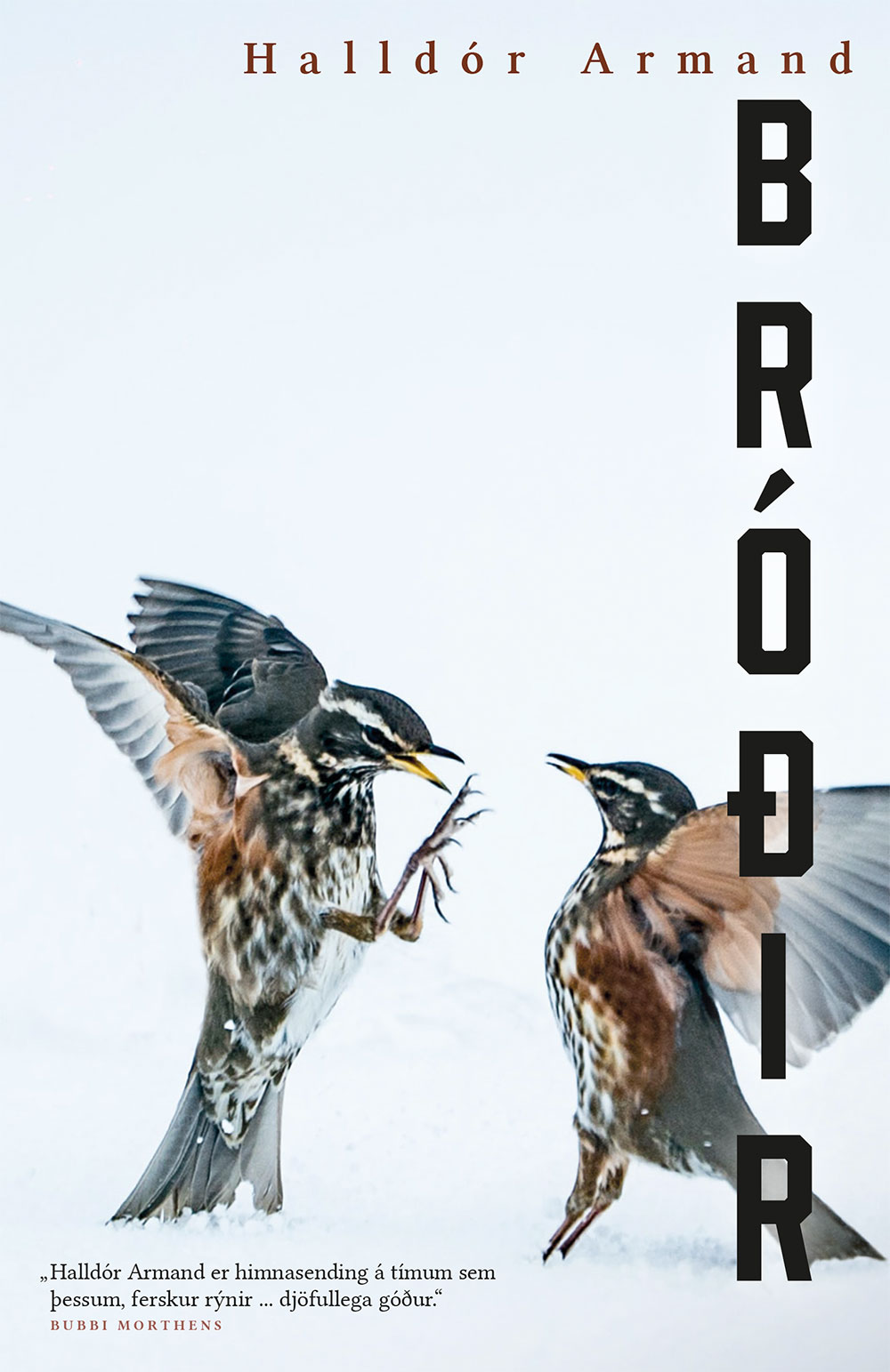 Bróðir (Hardcover)