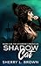 Shadow Cat (Otherside Chronicles, #5)