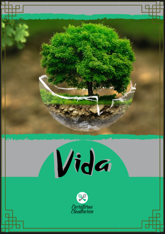 Vida