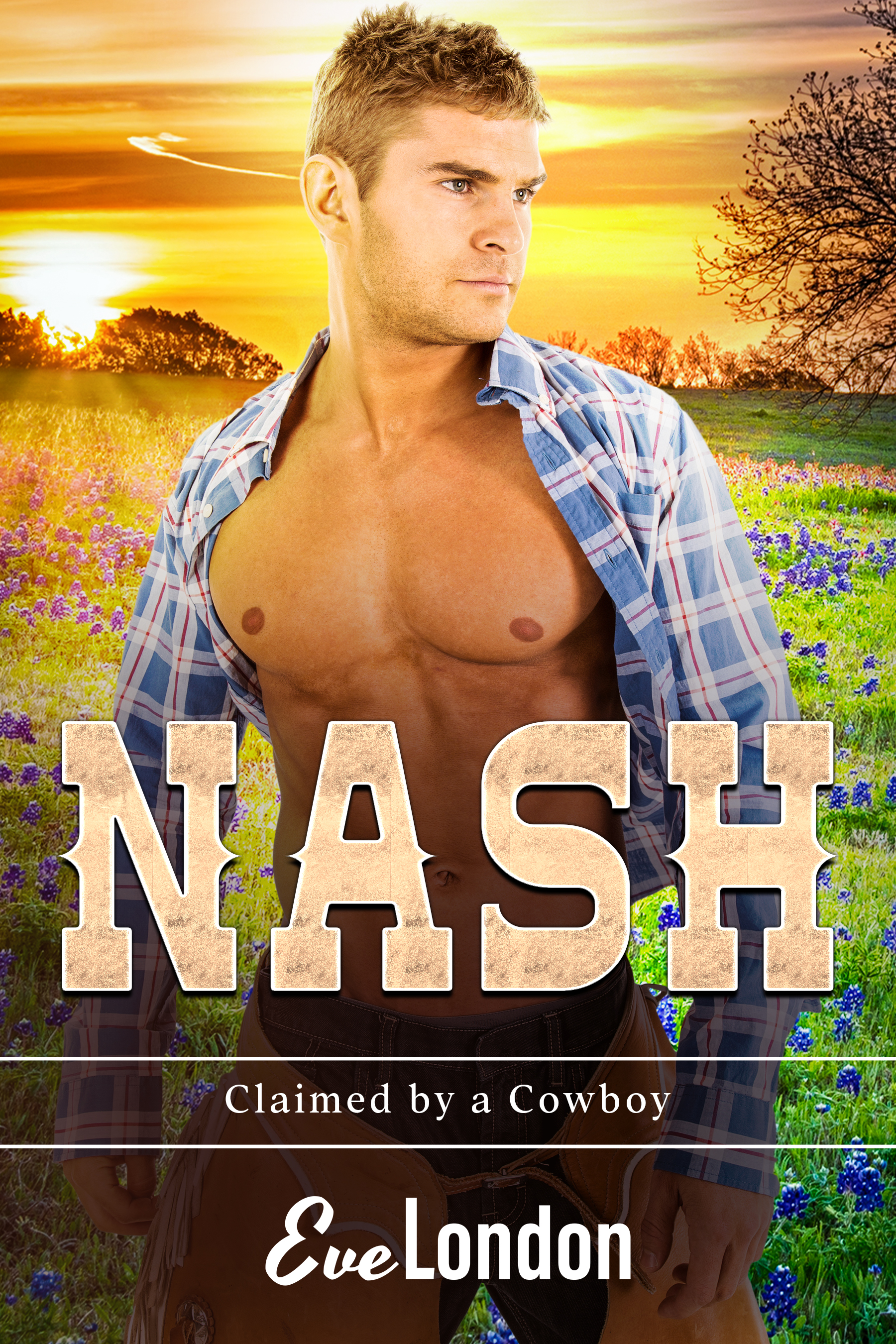 Nash (Claimed by a Cowboy, #1)