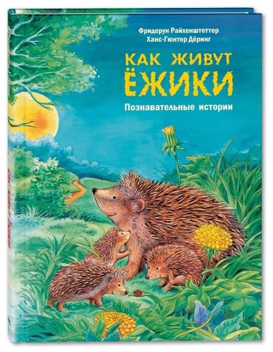 Как живут ёжики. Познавательные истории. (Hardcover)