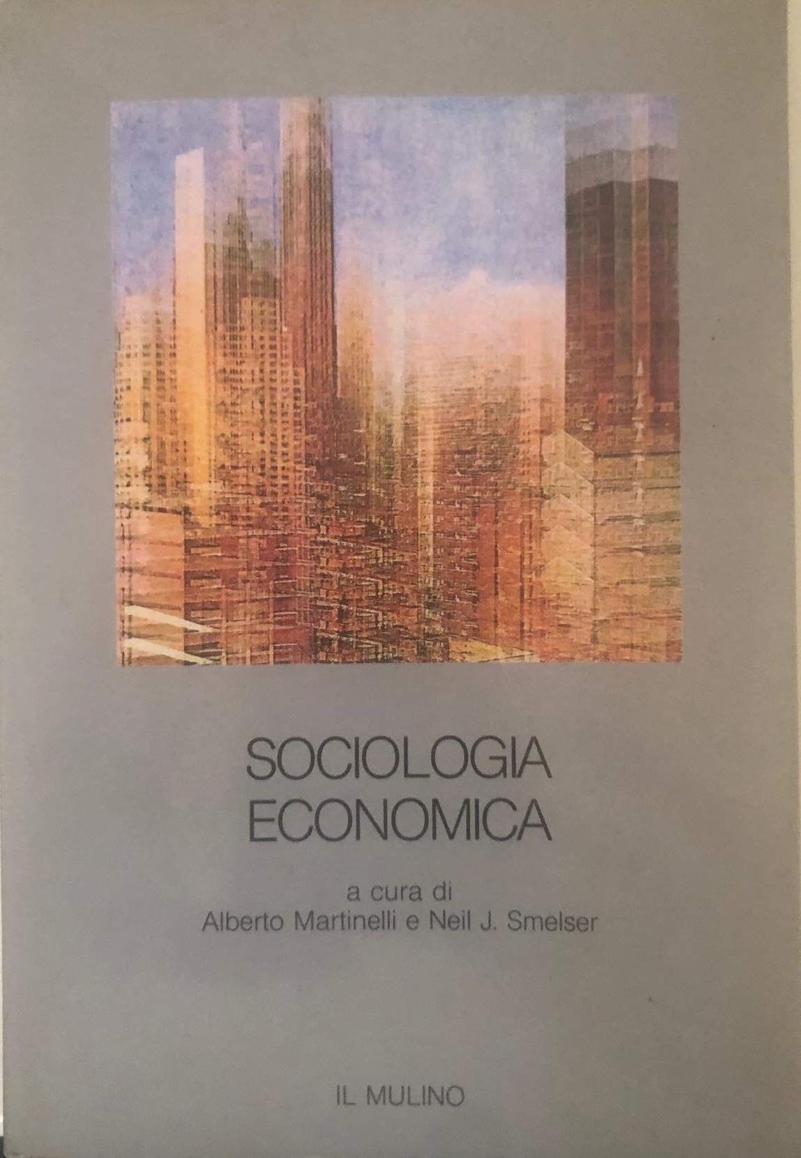 Sociologia economica (Paperback)