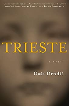 Trieste: A Haunting Literary Novel of the Holocaust – A Mother's Search in Nazi-Occupied Italy