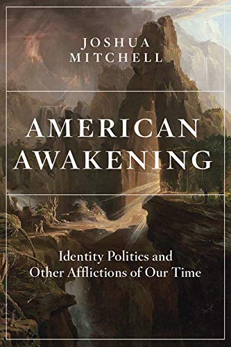 American Awakening: Identity Politics and Other Afflictions of Our Time (Hardcover)