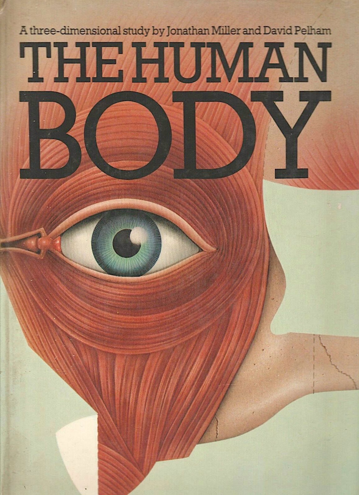 The Human Body: With Three-Dimensional, Movable Illustrations Showing the Workings of the Human Body