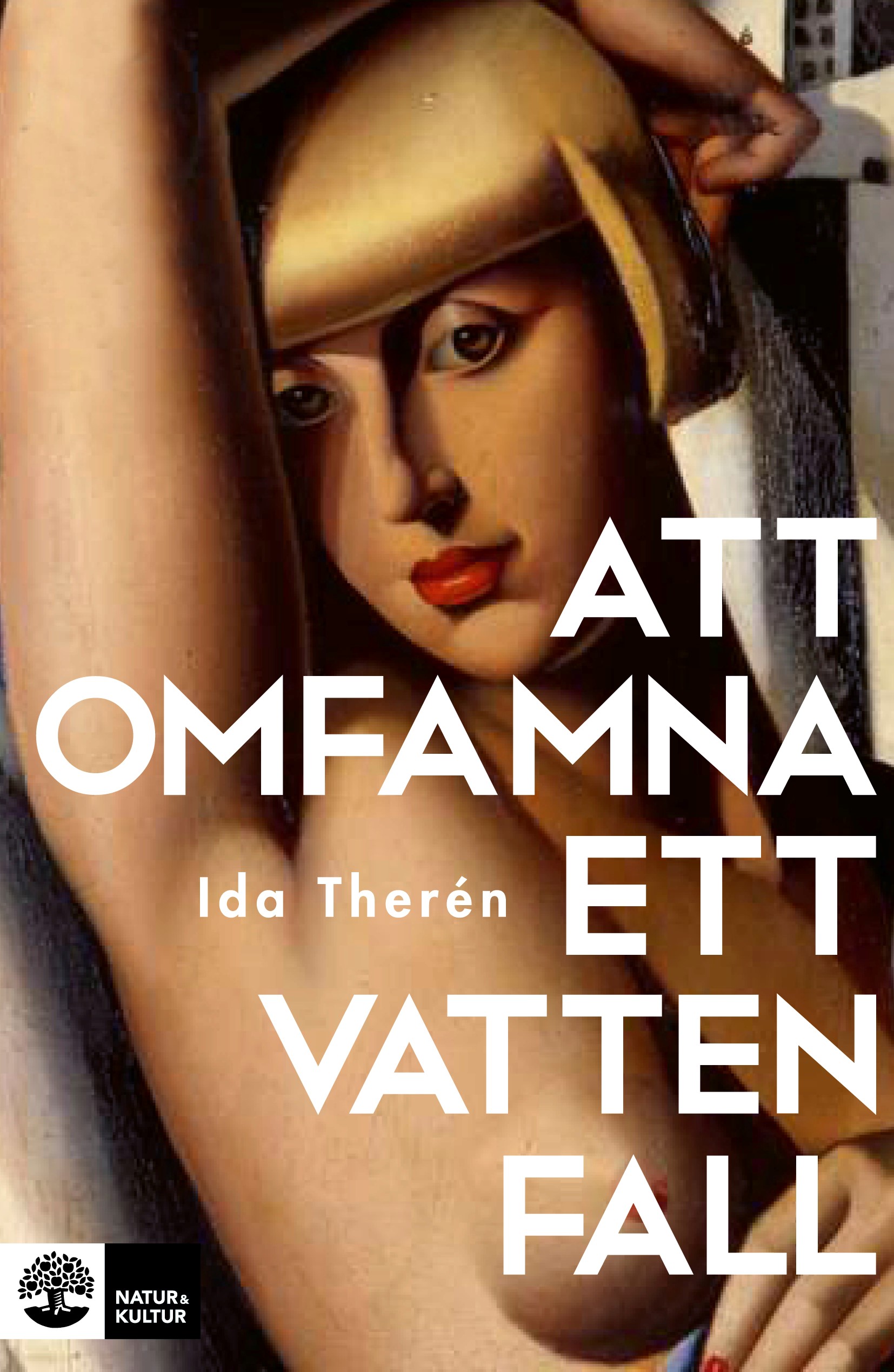 Att  omfamna ett vattenfall