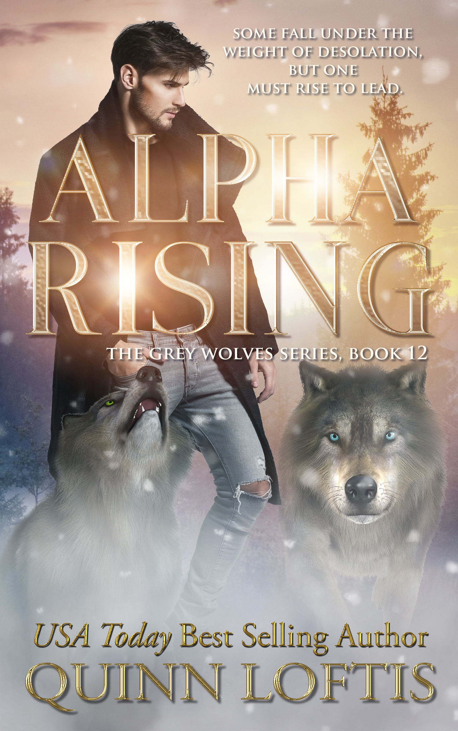 Alpha Rising (The Grey Wolves, #12)