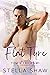 The Flat Tyre - Tom's Tricks 1 by Stella Shaw