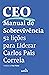 CEO: Manual de Sobrevivência