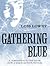 Gathering Blue (The Giver, #2)