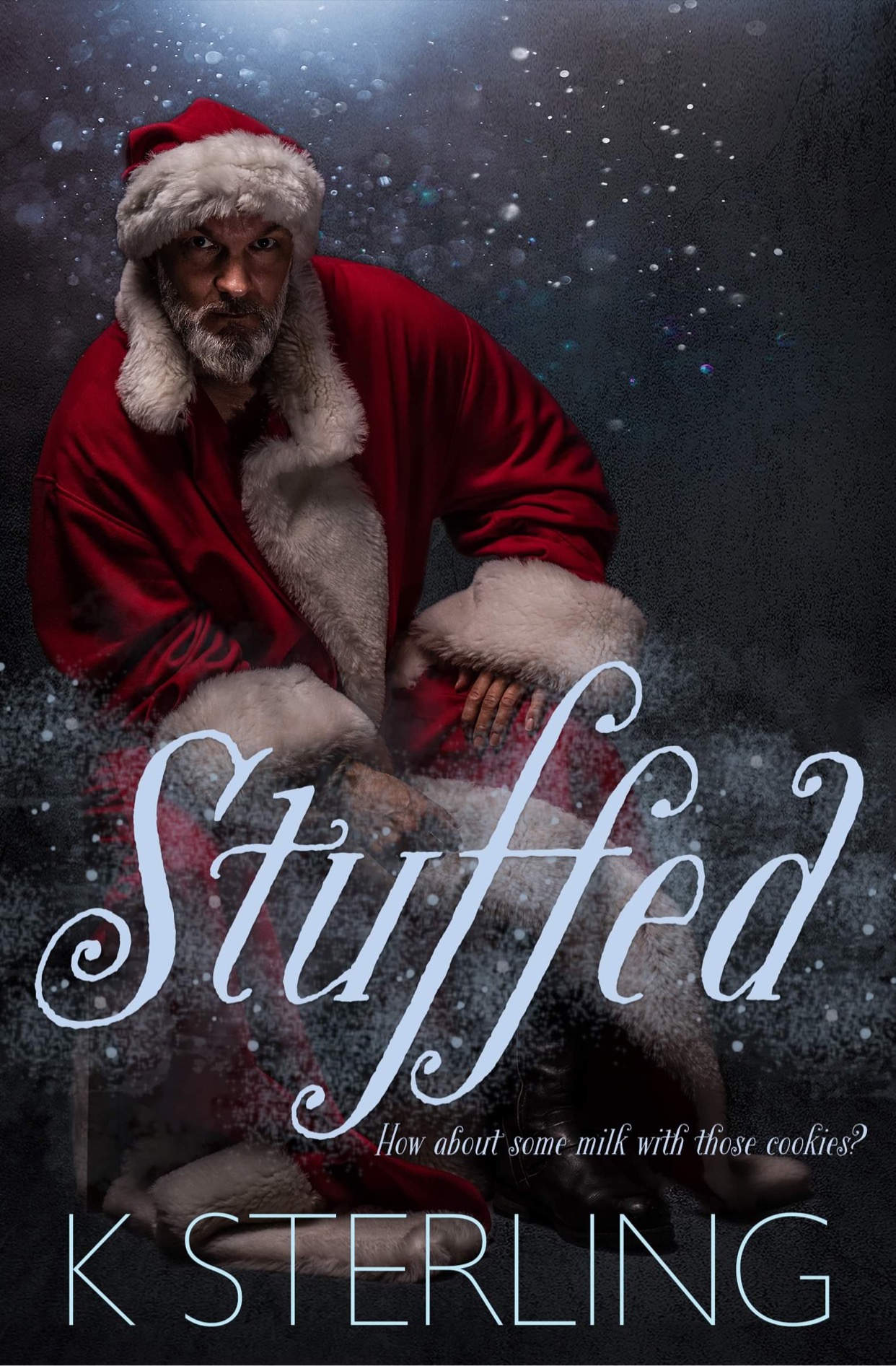 Stuffed (Kindle Edition)