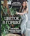 Цветок в горшке. Как посадить комнатные растения и не сесть в лужу