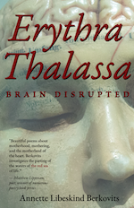 Erythra Thalassa Brain Disrupted