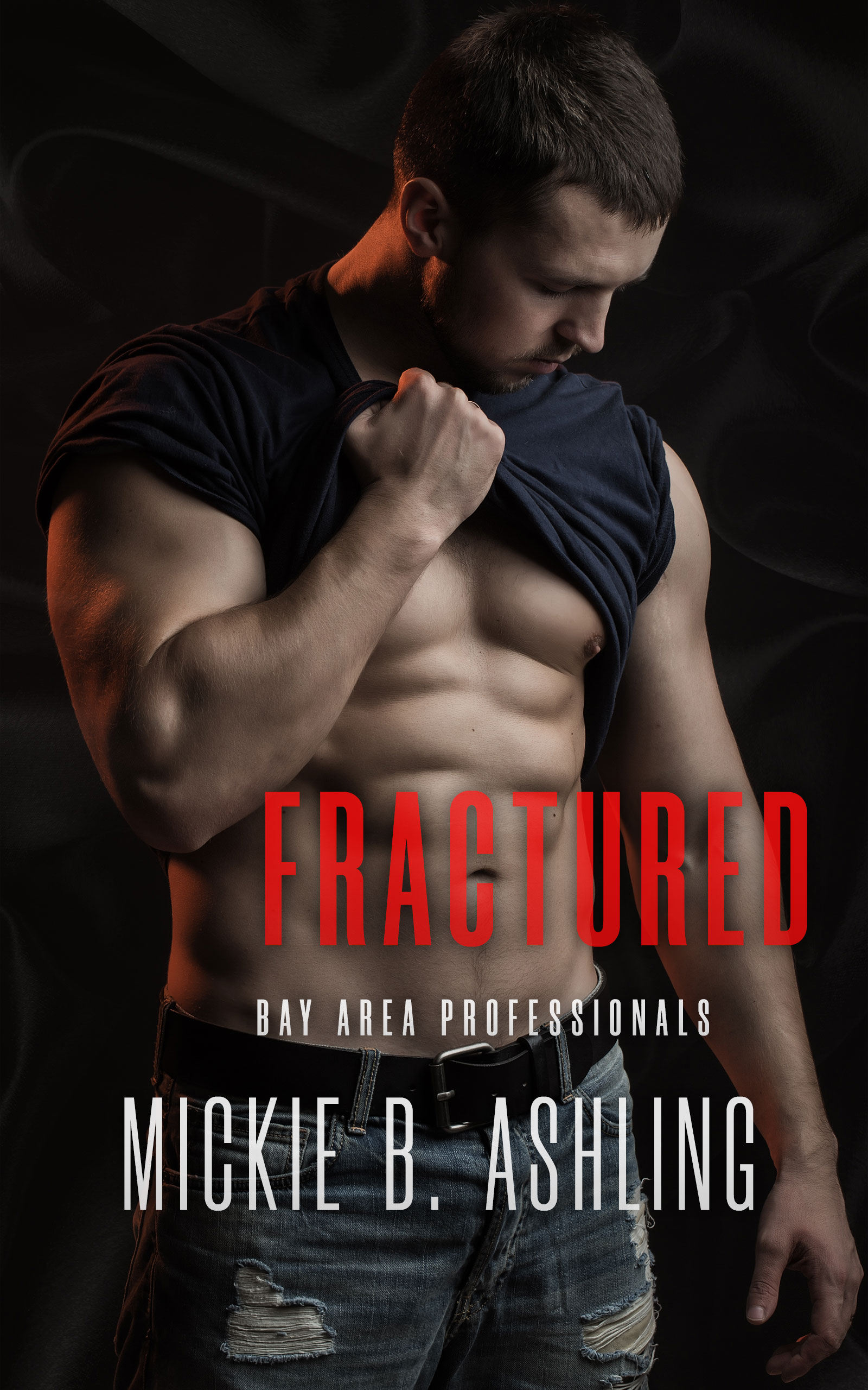 Fractured (Bay Area Professionals, #3)