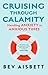 Cruising Through Calamity by Bev Aisbett