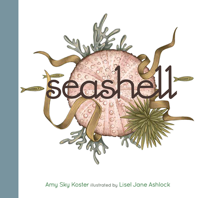 Seashell (Board Book)