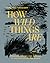 How Wild Things Are *OSI*: Cooking, fishing and hunting at the bottom of the world