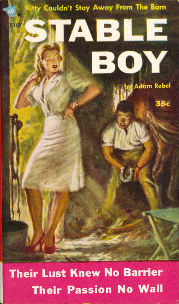 Stable Boy (Paperback)