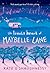 The Lonely Heart of Maybelle Lane by Kate O'Shaughnessy