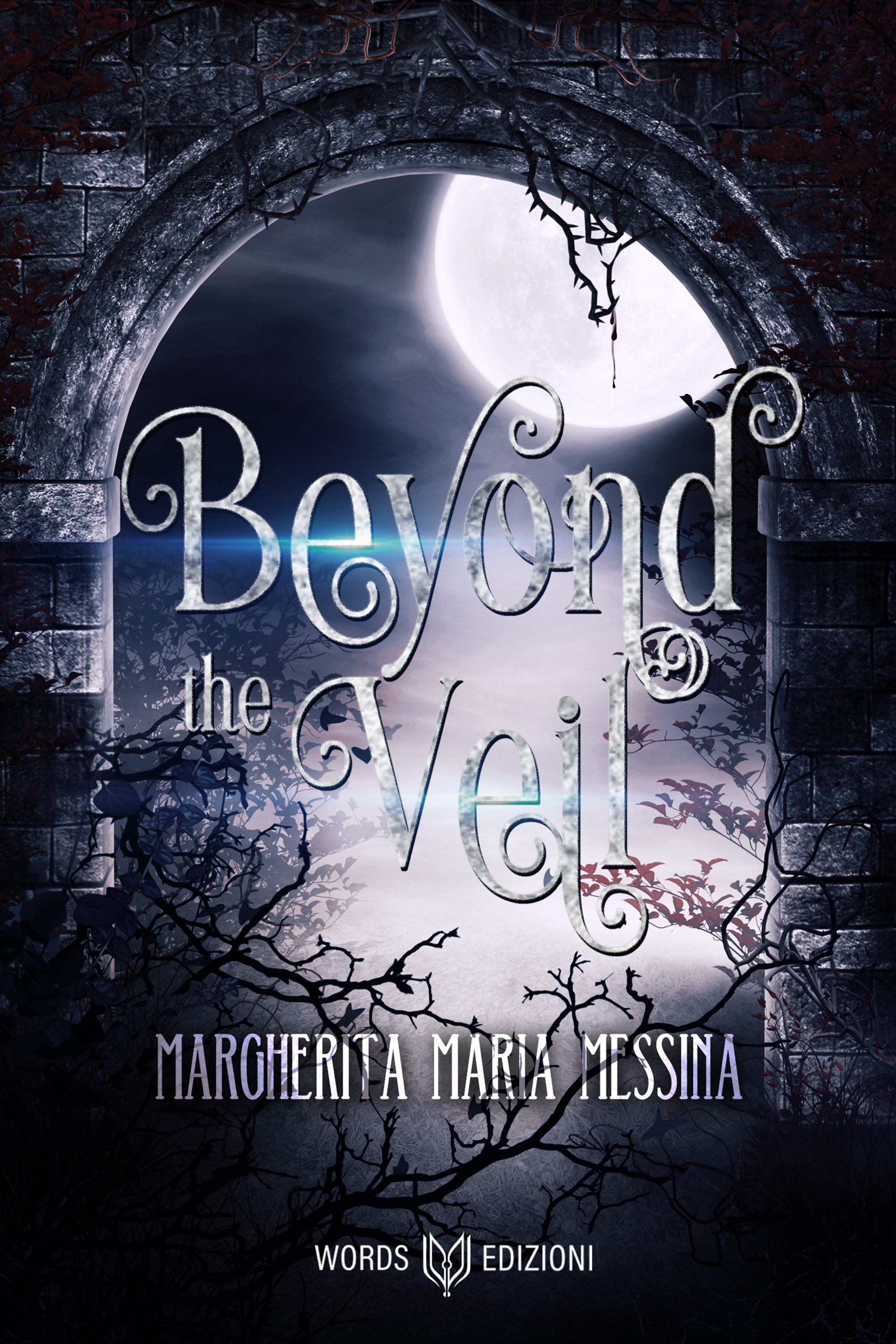 Beyond the Veil (Kindle Edition)