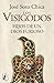 Los visigodos. Hijos de un dios furioso by José Soto Chica