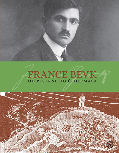 France Bevk : od Pestrne do Čedermaca : življenje in delo Franceta Bevka : 1890-1970