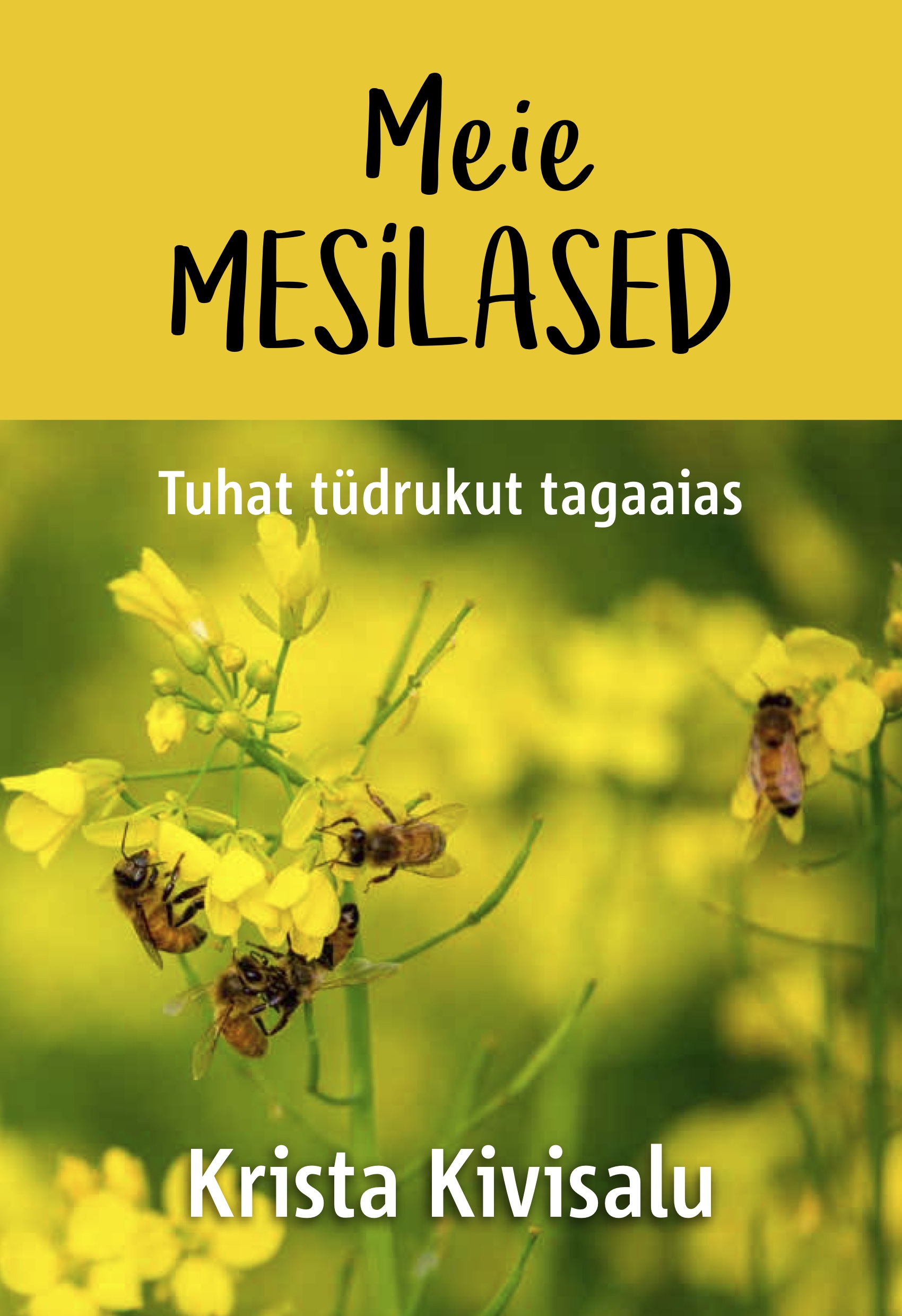 Meie mesilased. Tuhat tüdrukut tagaõuel. (Paperback)
