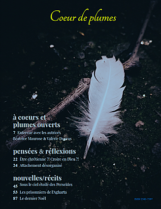 Cœur de plumes #2