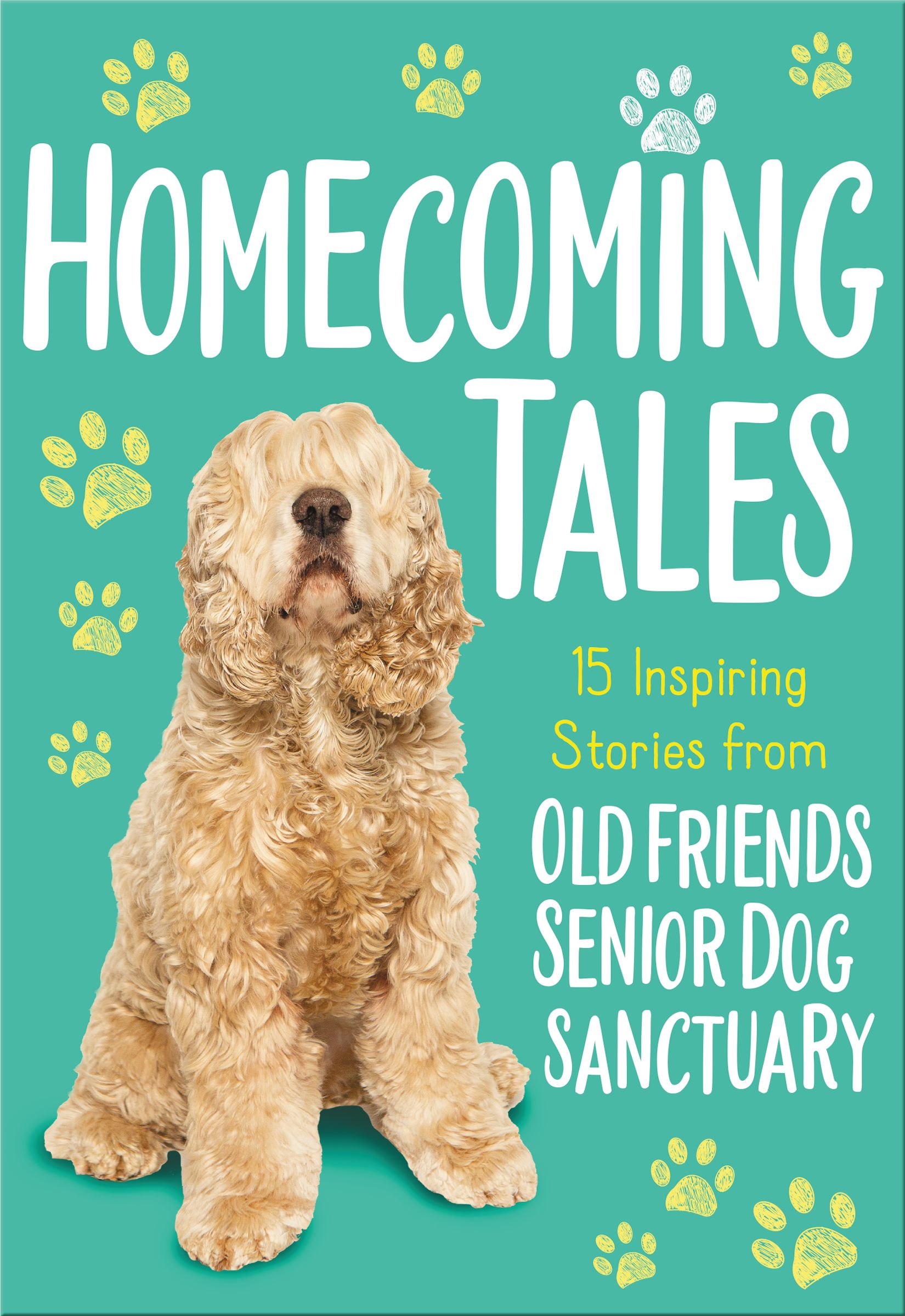 Homecoming Tales: 15 Inspiring Stories from Old Friends Senior Dog Sanctuary