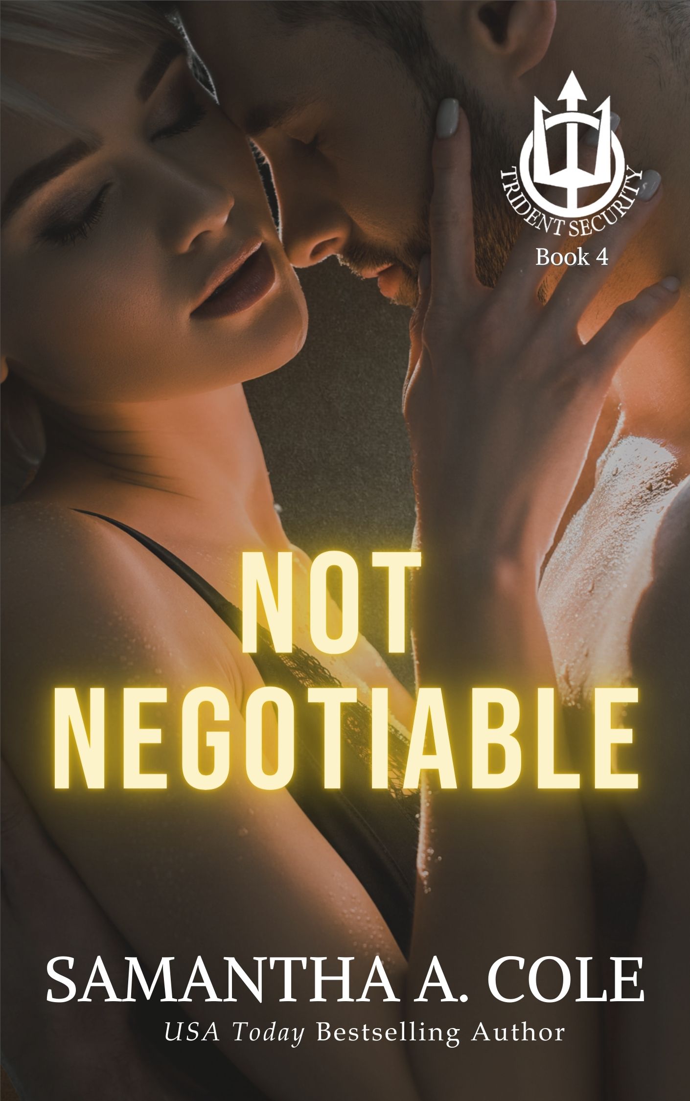 Not Negotiable (Trident Security, #3.5)