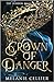 Crown of Danger (The Hidden Mage, #2)