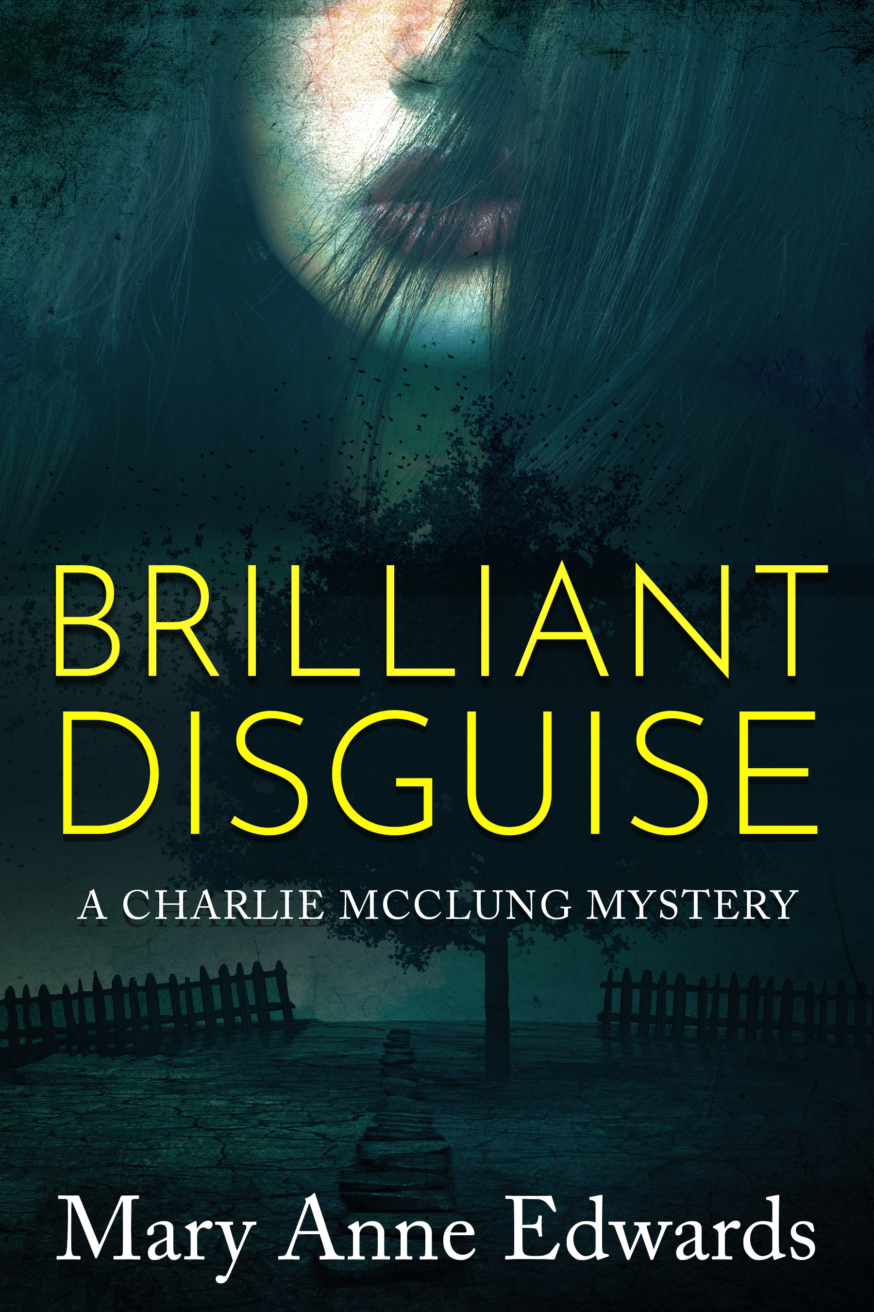 Brilliant Disguise (The Charlie McClung Mysteries, #1)