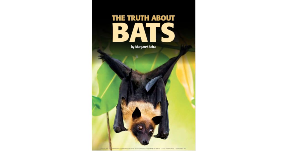 The Truth About Bats by Margaret Asha