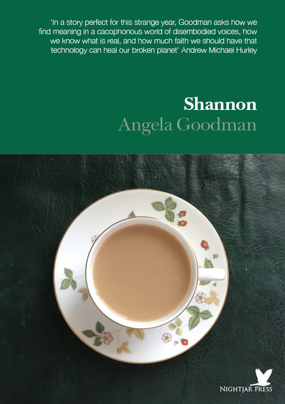 Shannon (Paperback)