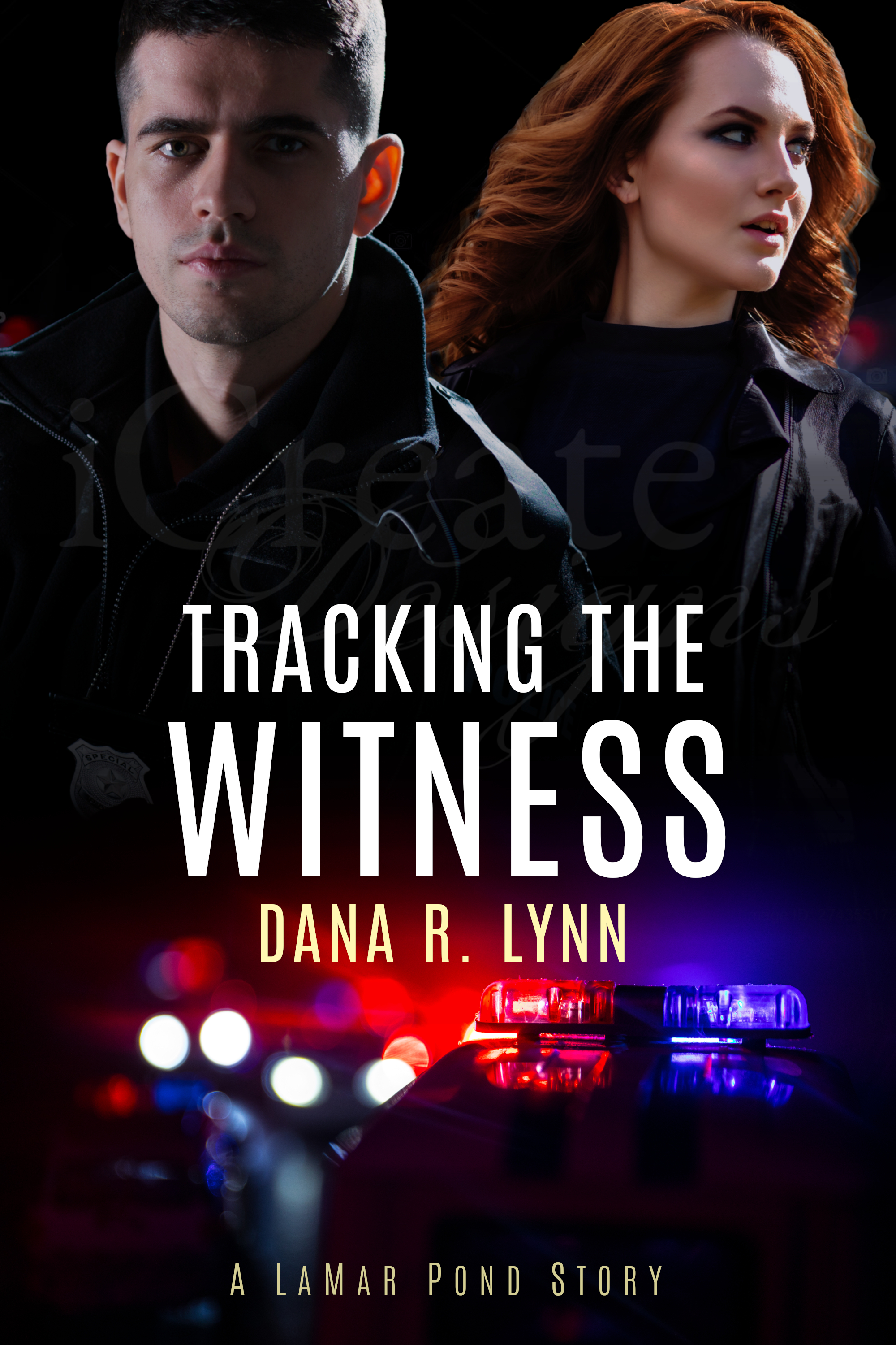 Tracking the Witness (ebook)