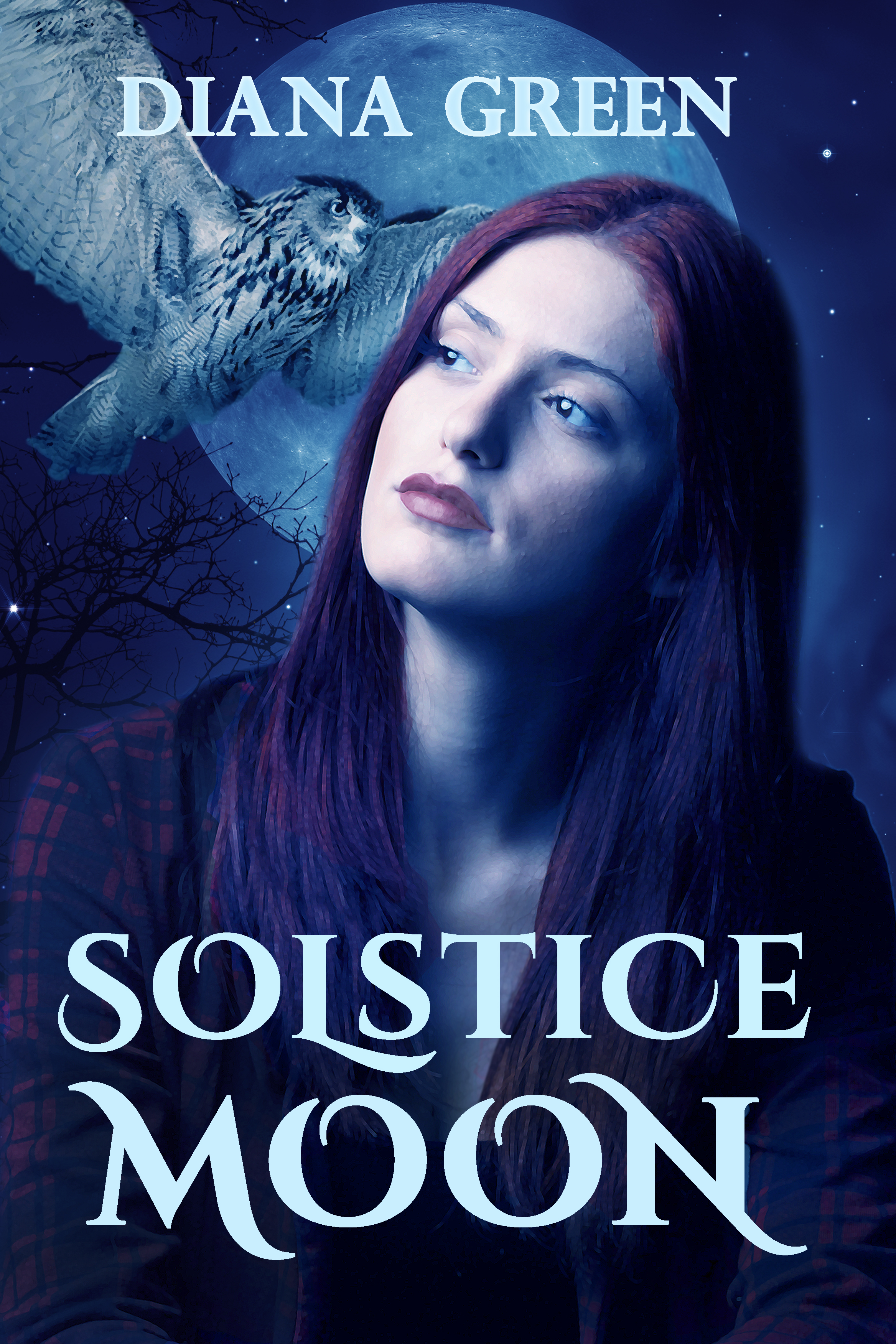 Solstice Moon (Kindle Edition)