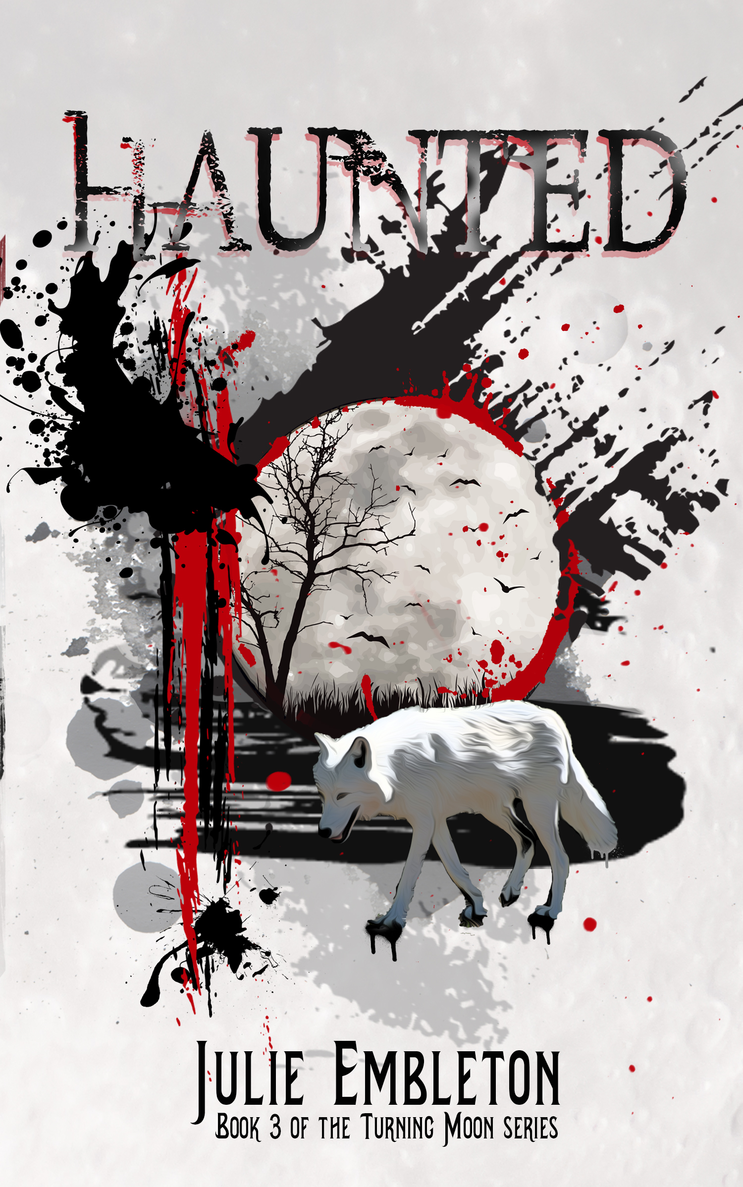Haunted (Turning Moon Book 3)