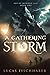 A Gathering Storm (Age of Wonder, #1)